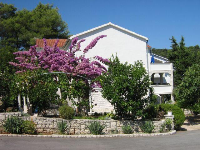 Apartments Sarah Medvinjak Εξωτερικό φωτογραφία